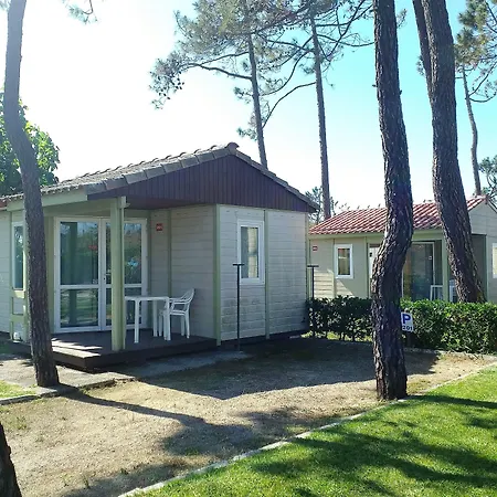 Parque De Campismo Orbitur Gala Camping Figueira da Foz