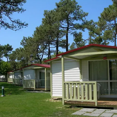 Parque De Campismo Orbitur Gala Camping 3*