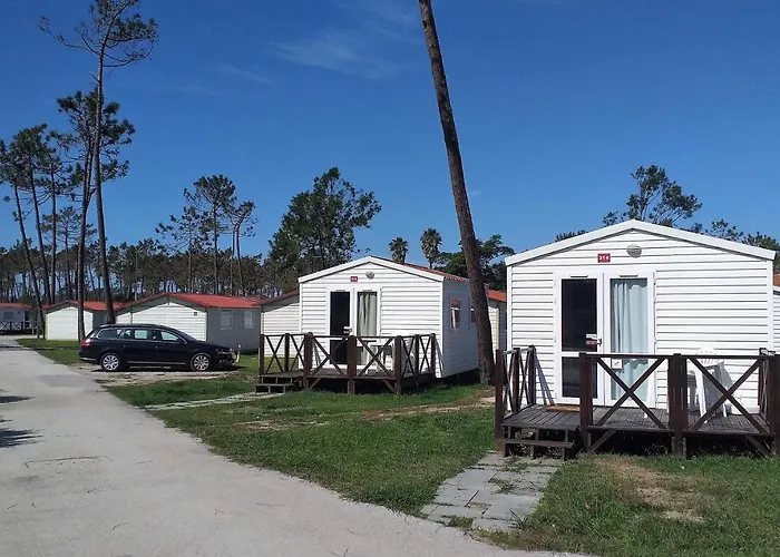 Kamp alanı Parque De Campismo Orbitur Gala Figueira da Foz