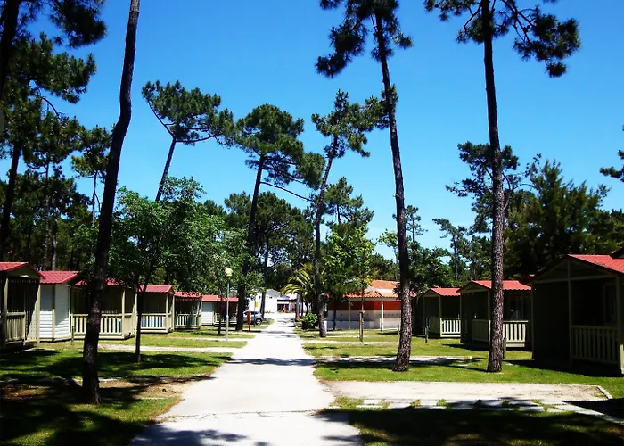 Kamp alanı Parque De Campismo Orbitur Gala