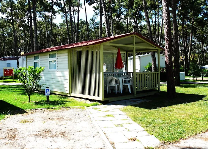 Kamp alanı Parque De Campismo Orbitur Gala Figueira da Foz