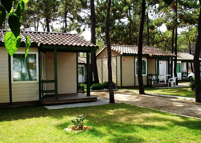 Kamp alanı Parque De Campismo Orbitur Gala 3*