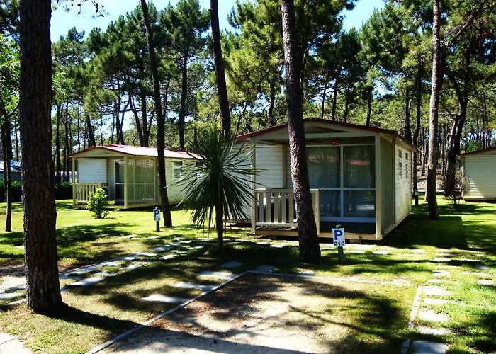 Parque De Campismo Orbitur Gala Kamp alanı 3*