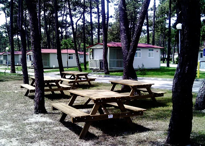 Kamp alanı Parque De Campismo Orbitur Gala 3*