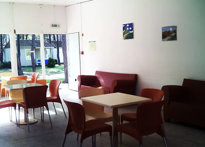 Parque De Campismo Orbitur Gala Kamp alanı 3*
