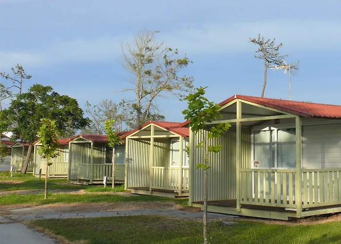 Parque De Campismo Orbitur Gala Kamp alanı Figueira da Foz