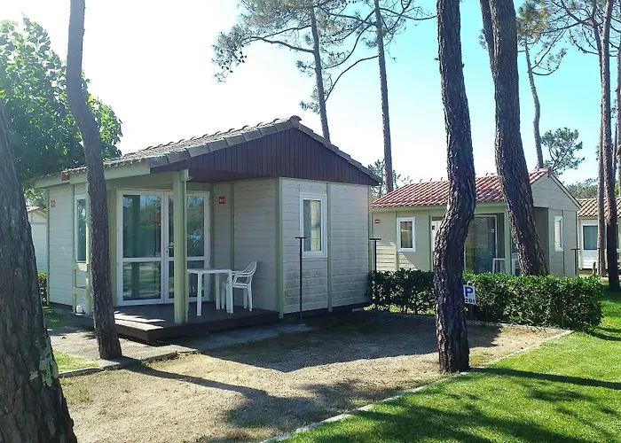 Parque De Campismo Orbitur Gala Kamp alanı Figueira da Foz