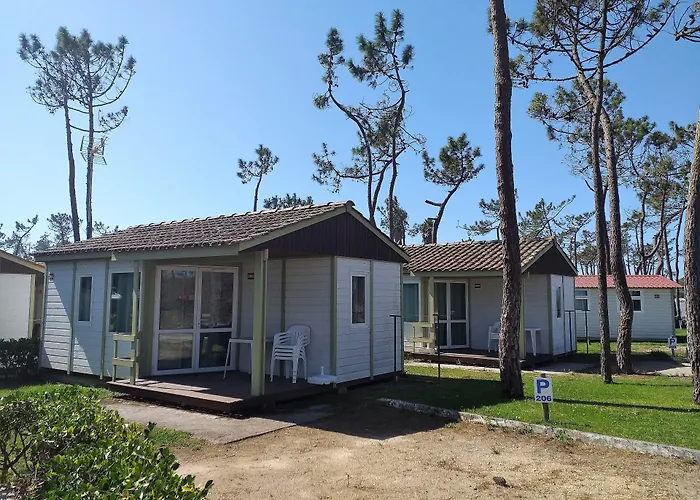 Kamp alanı Parque De Campismo Orbitur Gala 3*