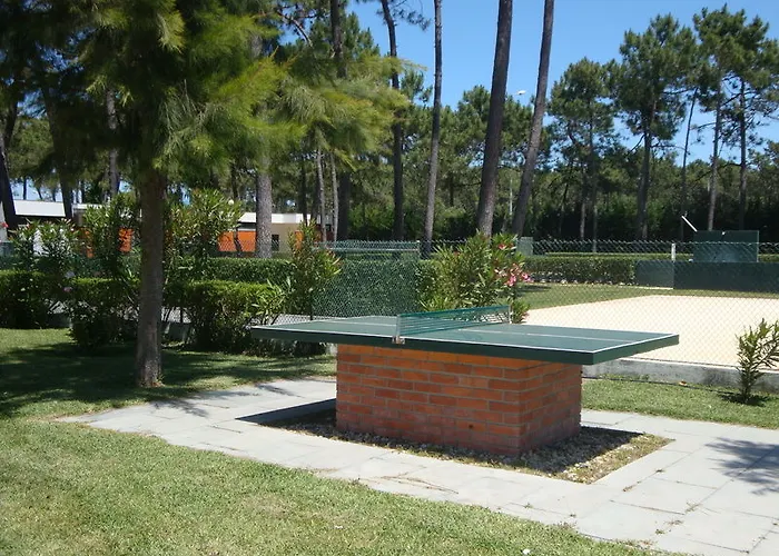Kamp alanı Parque De Campismo Orbitur Gala 3*