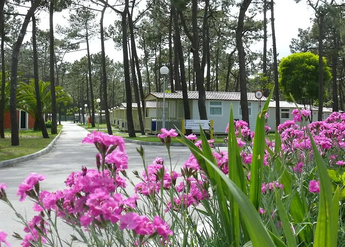 Parque De Campismo Orbitur Gala Kamp alanı 3*