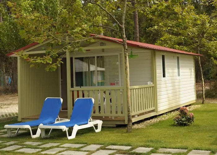 Parque De Campismo Orbitur Gala Kamp alanı Figueira da Foz