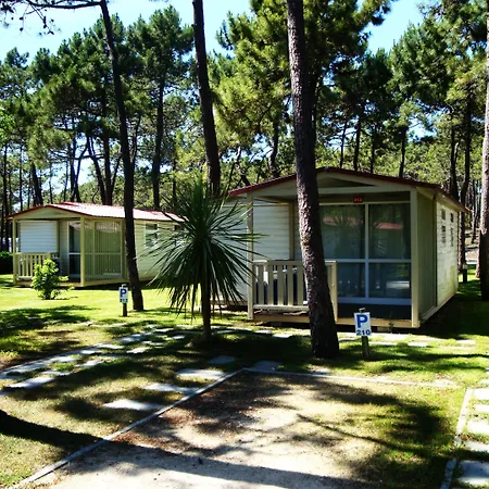 Parque De Campismo Orbitur Gala Campeggio 3*