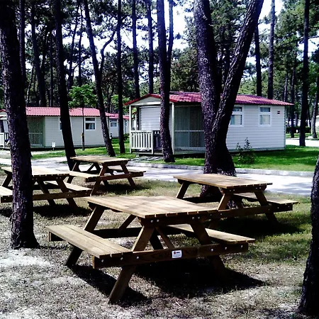Κάμπινγκ Parque De Campismo Orbitur Gala 3*