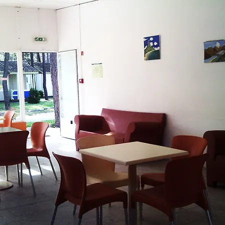 Parque De Campismo Orbitur Gala Campeggio 3*