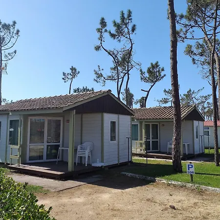 Κάμπινγκ Parque De Campismo Orbitur Gala 3*