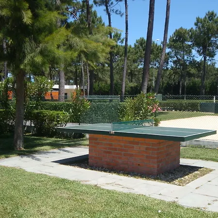 Campsite Parque De Campismo Orbitur Gala 3*