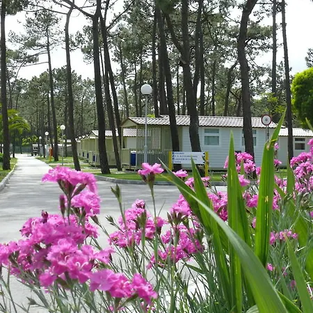 Parque De Campismo Orbitur Gala Campeggio 3*