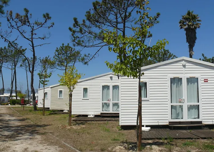 캠프장 Parque De Campismo Orbitur Gala