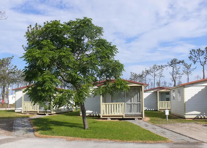 Parque De Campismo Orbitur Gala 3* 피게이라다포즈