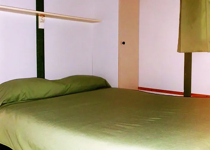 Parque De Campismo Orbitur Gala 캠프장