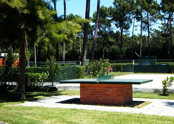 Parque De Campismo Orbitur Gala 캠프장