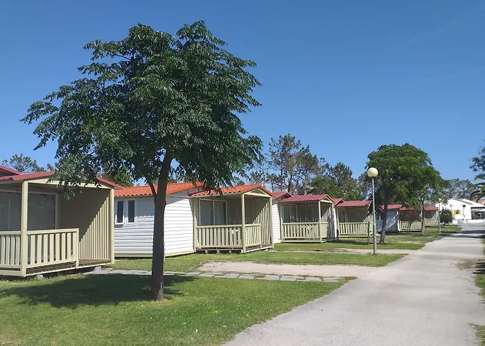 Parque De Campismo Orbitur Gala 3* 피게이라다포즈