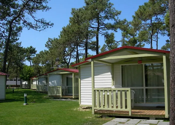 Parque De Campismo Orbitur Gala 캠프장 3*