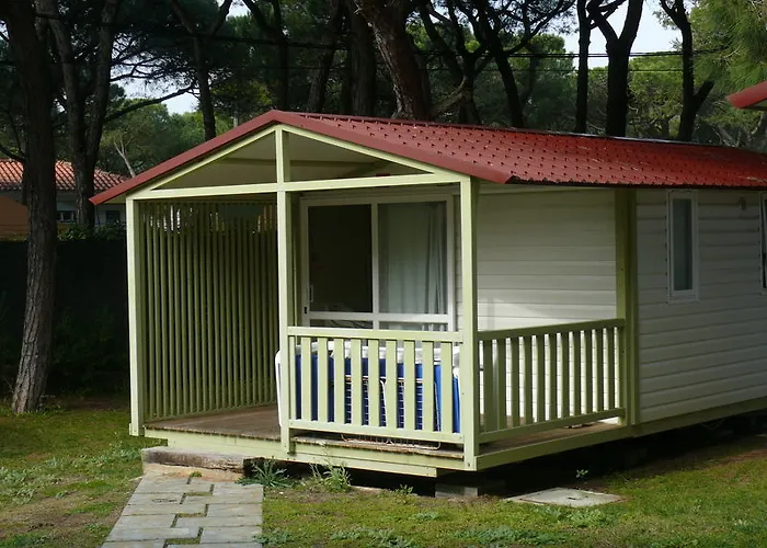 Parque De Campismo Orbitur Gala 캠프장 피게이라다포즈